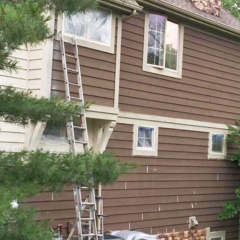painting the side of house